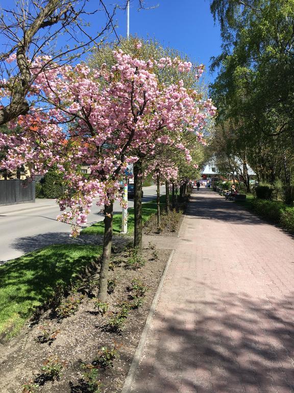 Apartamenty Nad Potoczkiem 乌斯特龙 外观 照片